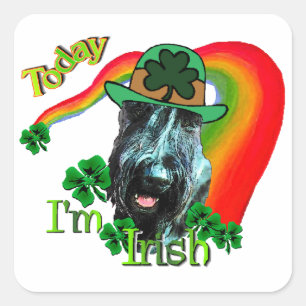 Giant Schnauzer St Patricks Day Quadratischer Aufkleber