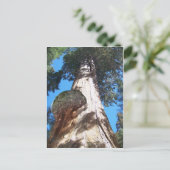 Giant Seqouia Postkarte (Stehend Vorderseite)