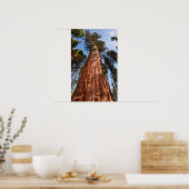 Giant Sequoia Ascends Poster (Küche)