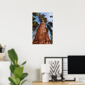 Giant Sequoia Ascends Poster (Heimbüro)