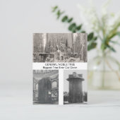 Giant Sequoia, der größte Baum aller Zeiten abgesc Postkarte (Stehend Vorderseite)