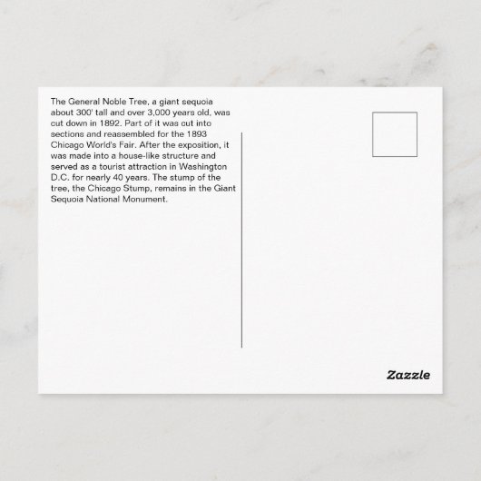 Giant Sequoia, der größte Baum aller Zeiten abgesc Postkarte (Rückseite)