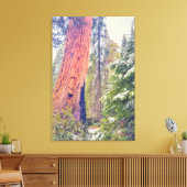 Giant Sequoia Leinwanddruck (Insitu (Wohnzimmer))