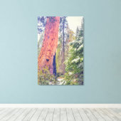 Giant Sequoia Leinwanddruck (Insitu (Holzboden))