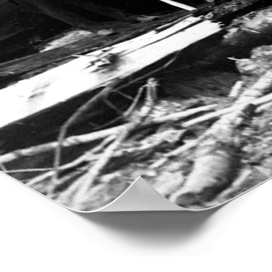 GIANT SEQUOIA LOG PORTRAIT c. 1890 Poster (Ecke)