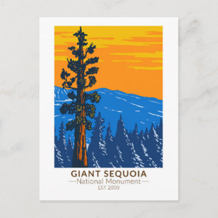 Giant Sequoia National Monument Kalifornien Vintag Postkarte