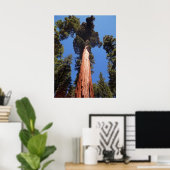 Giant Sequoia Poster (Heimbüro)