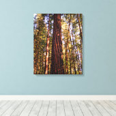 Giant Sequoia Redwood Wrapped Canvas Print Leinwanddruck (Insitu (Holzboden))