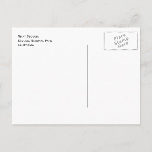 Giant Sequoia, Sequoia Nationalpark, ältere Versio Postkarte (Rückseite)