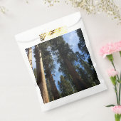 Giant Sequoia Sky View Geschenktütchen (Versiegelt)