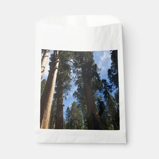 Giant Sequoia Sky View Geschenktütchen (Vorderseite)