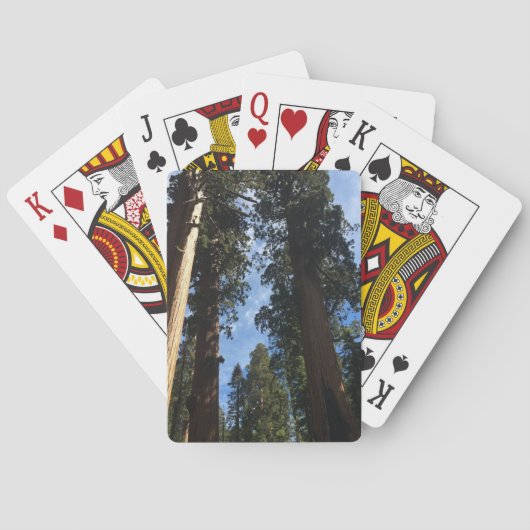 Giant Sequoia Spielkarten (Rückseite)