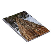 Giant Sequoia Tree Foto Notizblock (Rechte Seite)