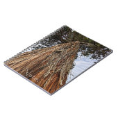 Giant Sequoia Tree Foto Notizblock (Linke Seite)
