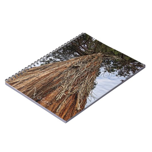 Giant Sequoia Tree Foto Notizblock (Linke Seite)