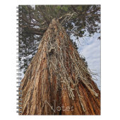 Giant Sequoia Tree Foto Notizblock (Vorderseite)