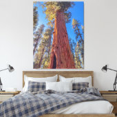 Giant Sequoia Tree im Wald Leinwanddruck (Insitu (Schlafzimmer))