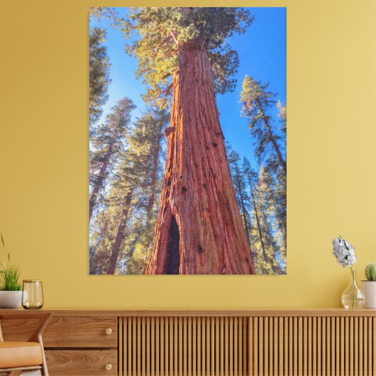 Giant Sequoia Tree im Wald Leinwanddruck (Insitu (Wohnzimmer))