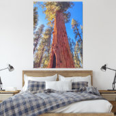 Giant Sequoia Tree im Wald Leinwanddruck (Insitu (Schlafzimmer))