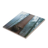 Giant Sequoia Tree in Grant Grove, CA Fliese (Seite)