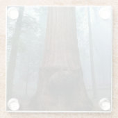 Giant Sequoia Tree in Grant Grove, CA Glasuntersetzer (Rückseite)
