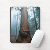 Giant Sequoia Tree in Grant Grove, CA Mousepad (Mit Mouse)