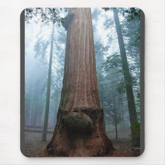 Giant Sequoia Tree in Grant Grove, CA Mousepad (Vorne)