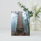 Giant Sequoia Tree in Grant Grove, CA Postkarte (Stehend Vorderseite)
