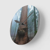 Giant Sequoia Tree in Grant Grove, CA Runde Wanduhr (Winkel)