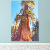 Giant Sequoia Tree Leinwanddruck (Insitu (Holzboden))