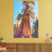 Giant Sequoia Tree Leinwanddruck (Insitu (Wohnzimmer))