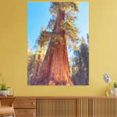 Giant Sequoia Tree Leinwanddruck (Insitu (Wohnzimmer))
