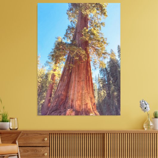 Giant Sequoia Tree Leinwanddruck (Insitu (Wohnzimmer))