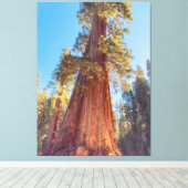 Giant Sequoia Tree Leinwanddruck (Insitu (Holzboden))