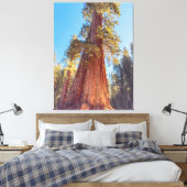 Giant Sequoia Tree Leinwanddruck (Insitu (Schlafzimmer))