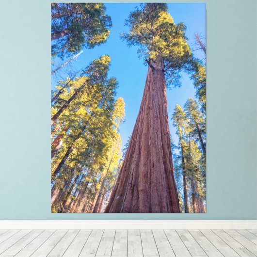 Giant Sequoia Tree Leinwanddruck (Insitu (Holzboden))