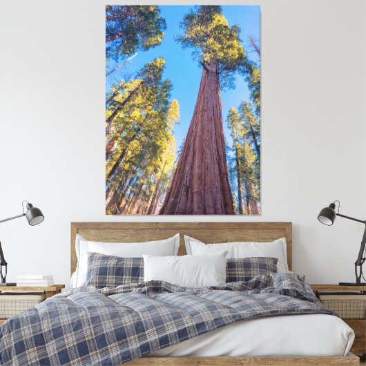 Giant Sequoia Tree Leinwanddruck (Insitu (Schlafzimmer))