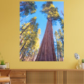 Giant Sequoia Tree Leinwanddruck (Insitu (Wohnzimmer))