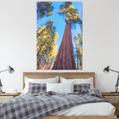 Giant Sequoia Tree Leinwanddruck (Insitu (Schlafzimmer))