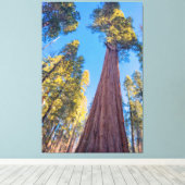 Giant Sequoia Tree Leinwanddruck (Insitu (Holzboden))