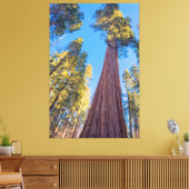 Giant Sequoia Tree Leinwanddruck (Insitu (Wohnzimmer))