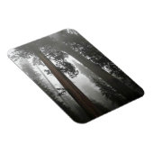 Giant Sequoia Trees in the Fog, CA Magnet (Rechte Seite)