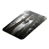 Giant Sequoia Trees in the Fog, CA Magnet (Linke Seite)