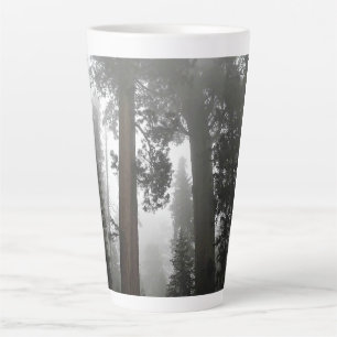 Giant Sequoia Trees in the Fog, CA Milchtasse