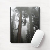 Giant Sequoia Trees in the Fog, CA Mousepad (Mit Mouse)