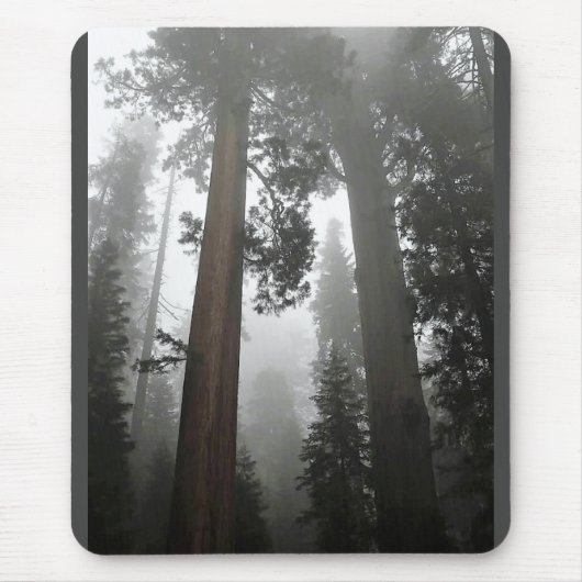 Giant Sequoia Trees in the Fog, CA Mousepad (Vorne)