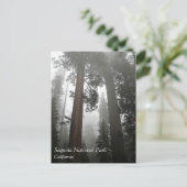 Giant Sequoia Trees in the Fog, CA Postcard Postkarte (Stehend Vorderseite)