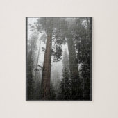 Giant Sequoia Trees in the Fog, CA Puzzle (Vertikal)