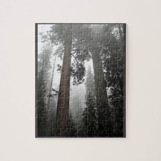 Giant Sequoia Trees in the Fog, CA Puzzle (Vertikal)