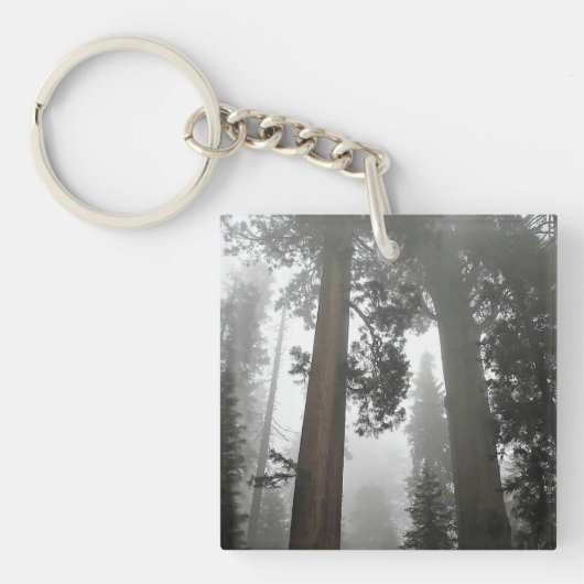 Giant Sequoia Trees in the Fog, CA Schlüsselanhänger (Vorderseite)